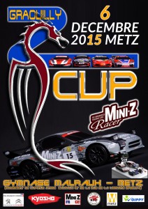 ZCUP 2015